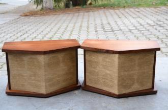 Boxe Bose model 901_7