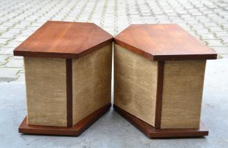 Boxe Bose model 901_8